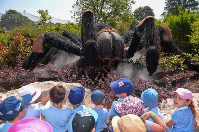  La nostra tarantola gigante! 